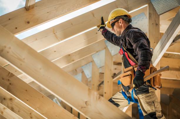 Best Roof Gutter Cleaning  in Cannon Af, NM