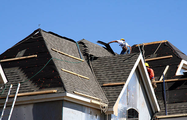 Best Commercial Roofing Services  in Cannon Af, NM