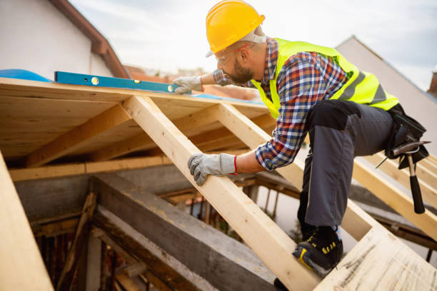 Best Flat Roof Repair Services  in Cannon Af, NM